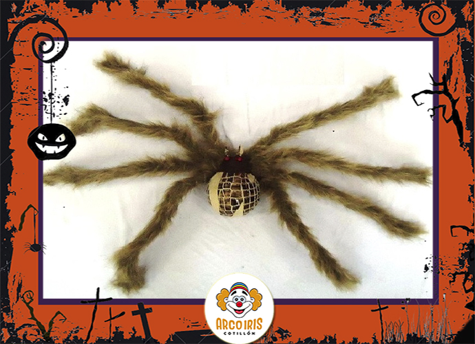 Araña Marron