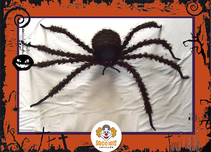 Araña Negra