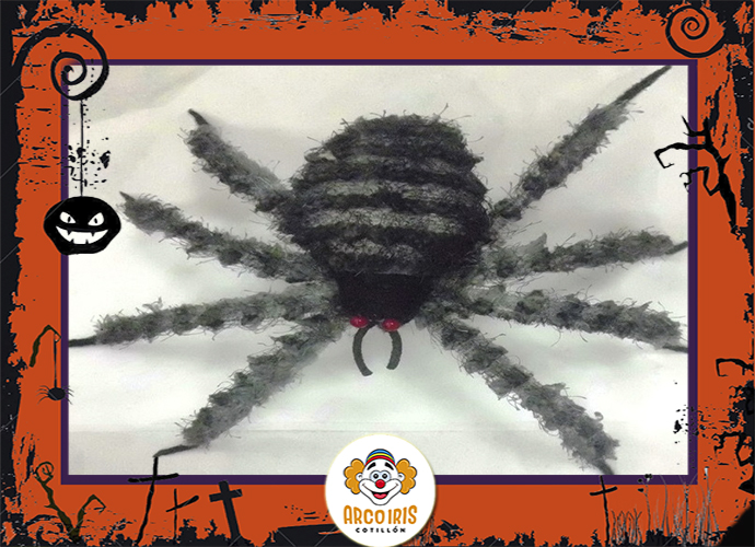 Araña Pollito
