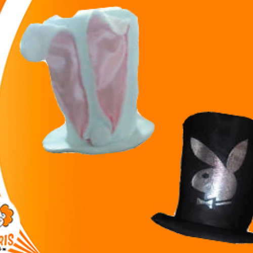 Galerones PlayBoy