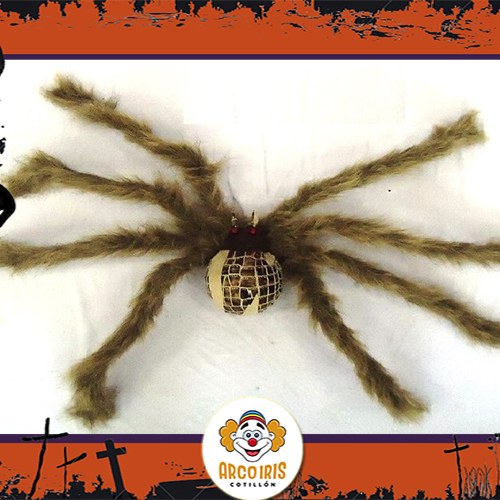 Araña Marron