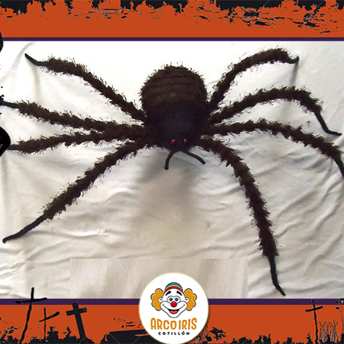 Araña Negra