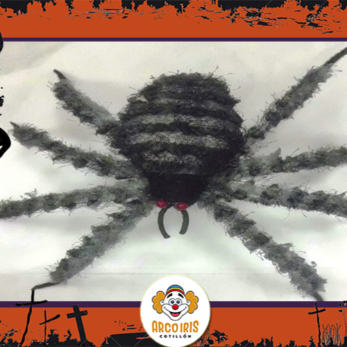 Araña Pollito