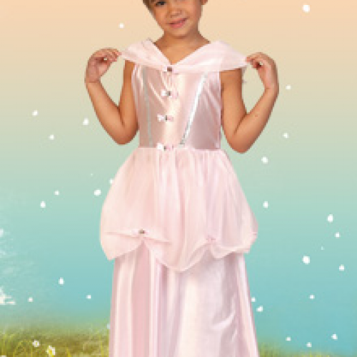 Vestido Rosa - Princesas