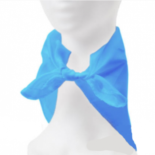 Pañuelo Cuadrado Tela Celeste y Blanco - Patrio
