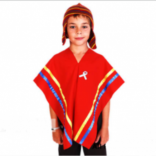 Poncho Paño de Coya - Patrio